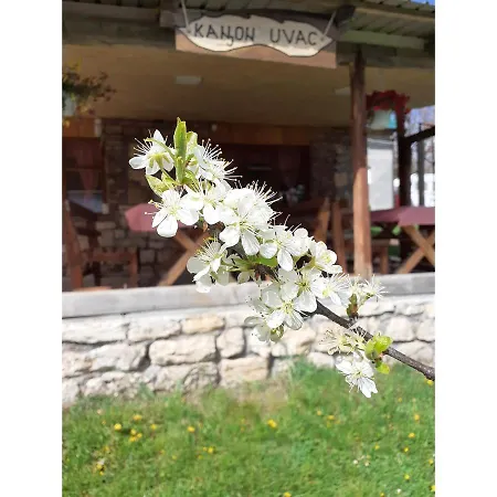 Kanjon Uvac * シェニツァ