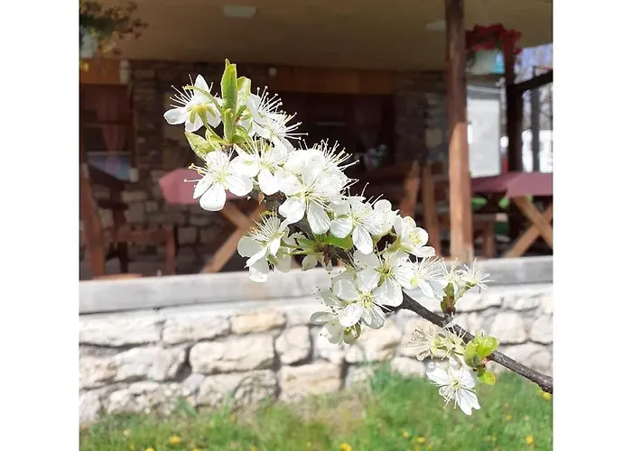 Kanjon Uvac * Sjenica